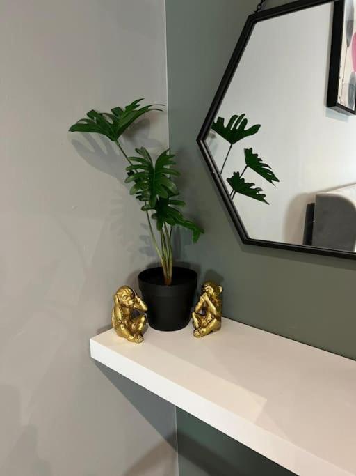 Peaceful & Stylish Brighton Studio Apartment المظهر الخارجي الصورة